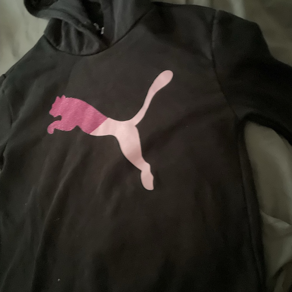 Hood - Picture 3 of 5